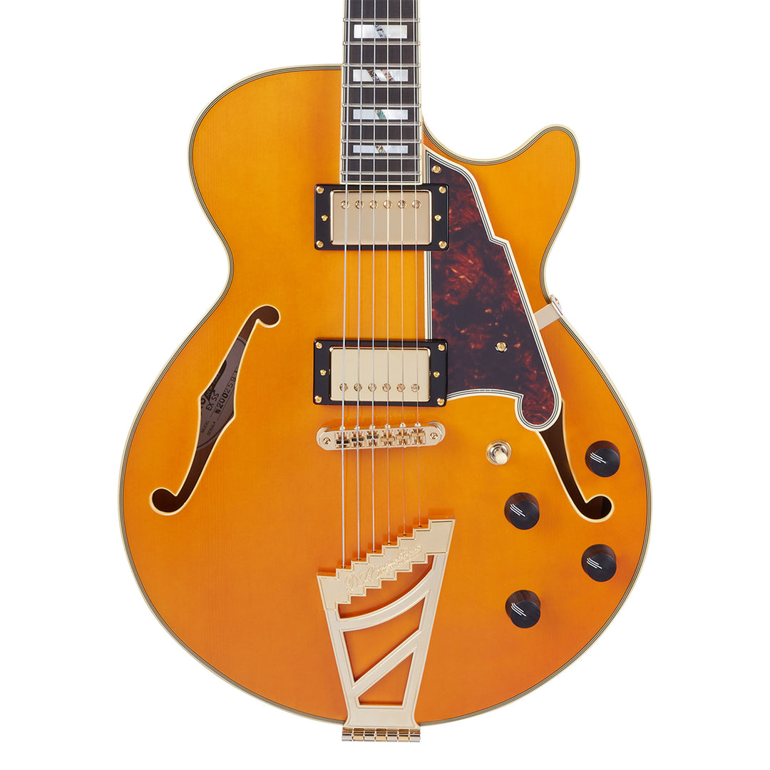 D’Angelico Excel SS Electric Guitar