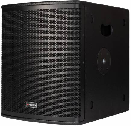Ashly 12" Passive Subwoofer - 350W, -10dB at 39 Hz - Black