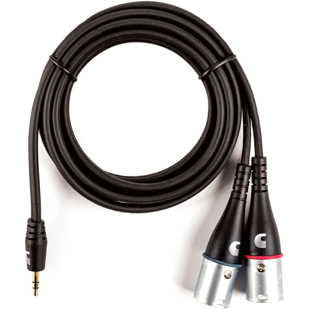 D'Addario PW-MPXLR-06 - 6' 1/8'' ST MALE TO DUAL XLRM