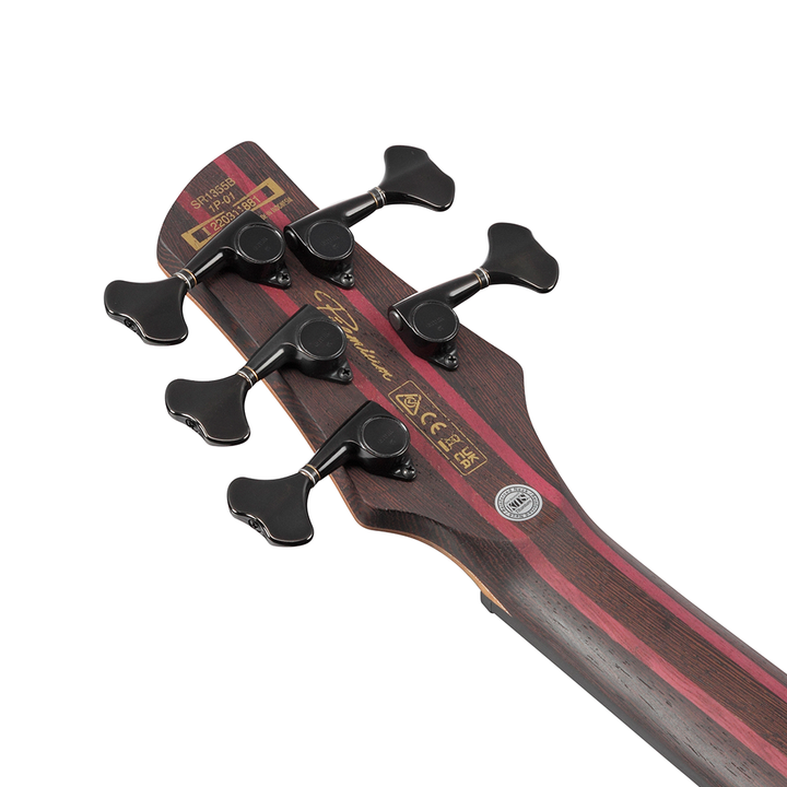 Ibanez SR Premium 5-String Electric Bass (Dual Mocha Burst Flat) SR1355BDUF