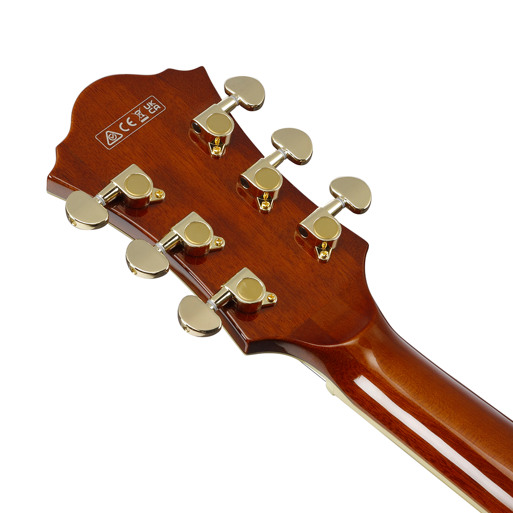Ibanez AF Artcore Expressionist (Dark Amber) AF95DA