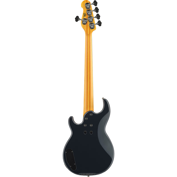 Yamaha bass online case