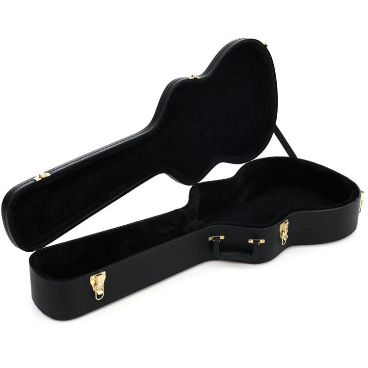 Ibanez PF50C Acoustic Guitar Case for all Dreadnoughts, AEF