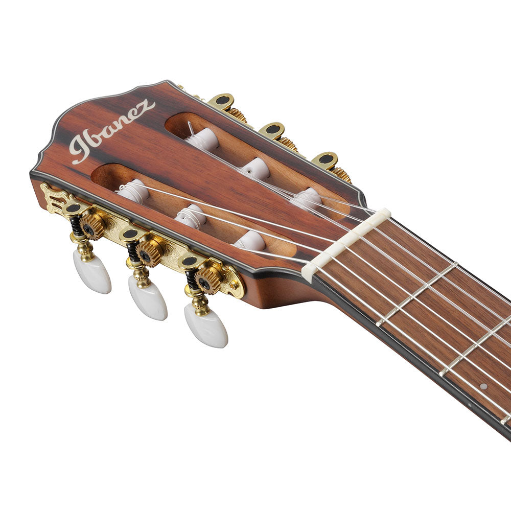 Ibanez Acoustic-Electric (Brown Sunburst Flat) FRH10N