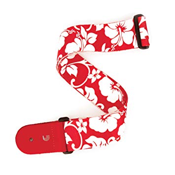 D'Addario P20S1502 - 2.0 GTR STP, HIBISCUS - RED