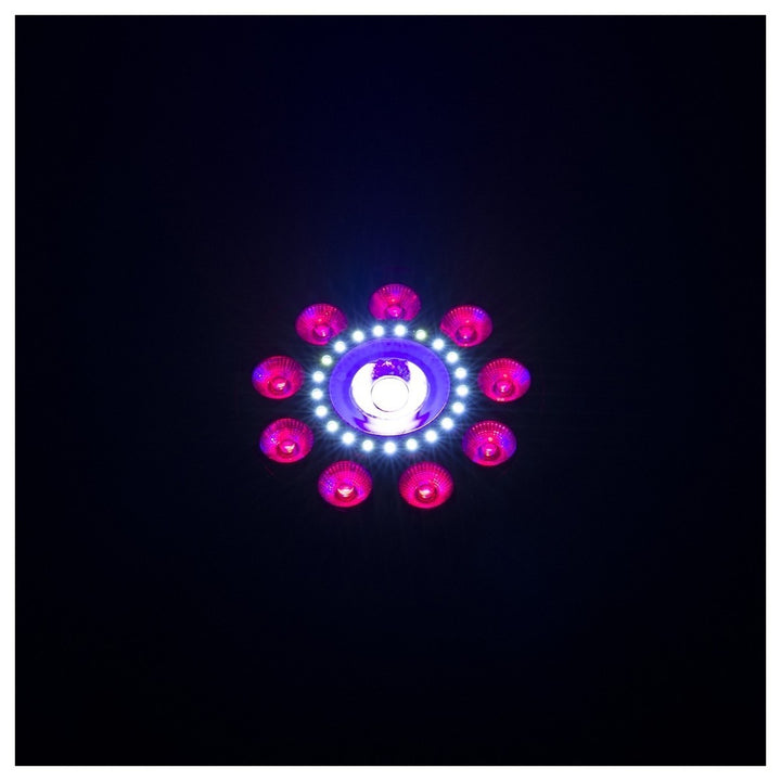 Chauvet DJ FXpar 9 Multi Effect and Par Light