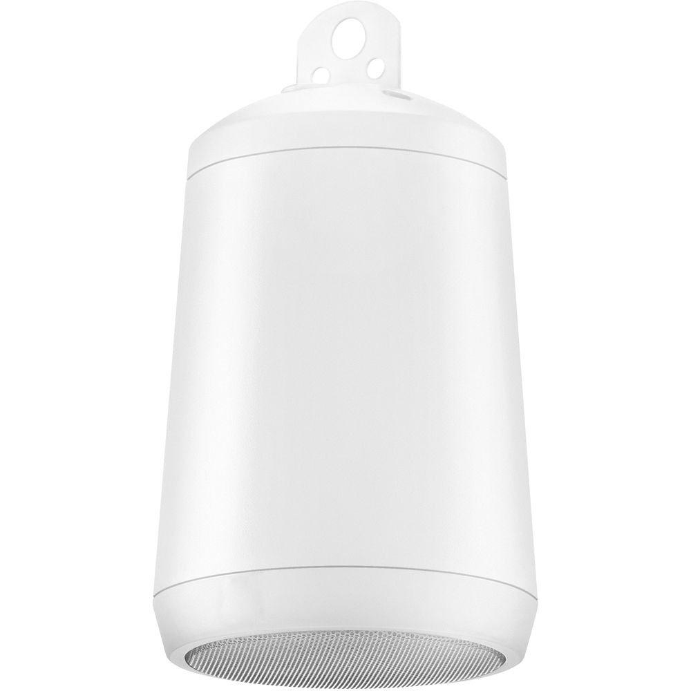 Electro-Voice EVID-P2.1 - Compact Pendant Speaker