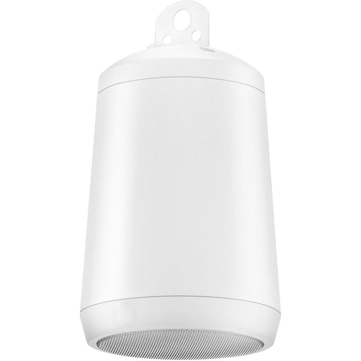 Electro-Voice EVID-P2.1 - Compact Pendant Speaker