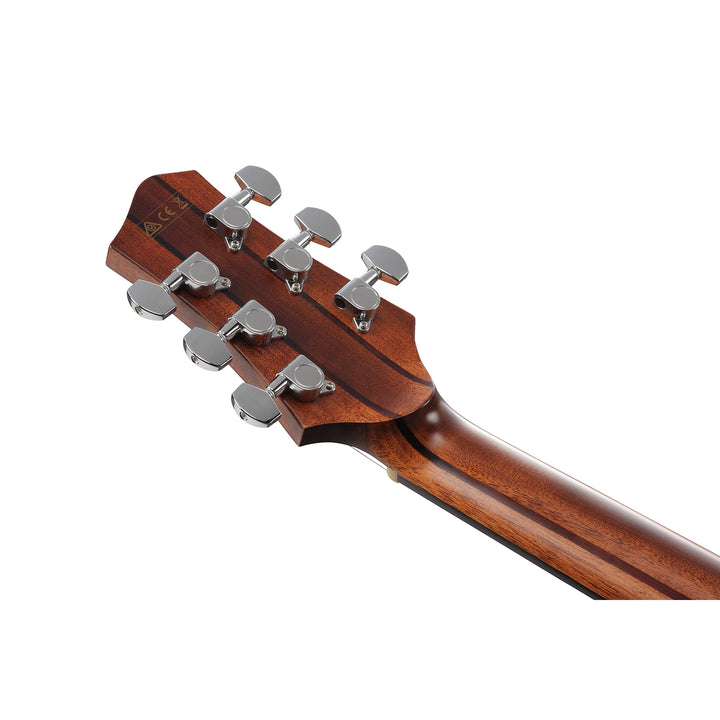 Ibanez Acoustic-Electric (Natural Satin Low Gloss) PA230E