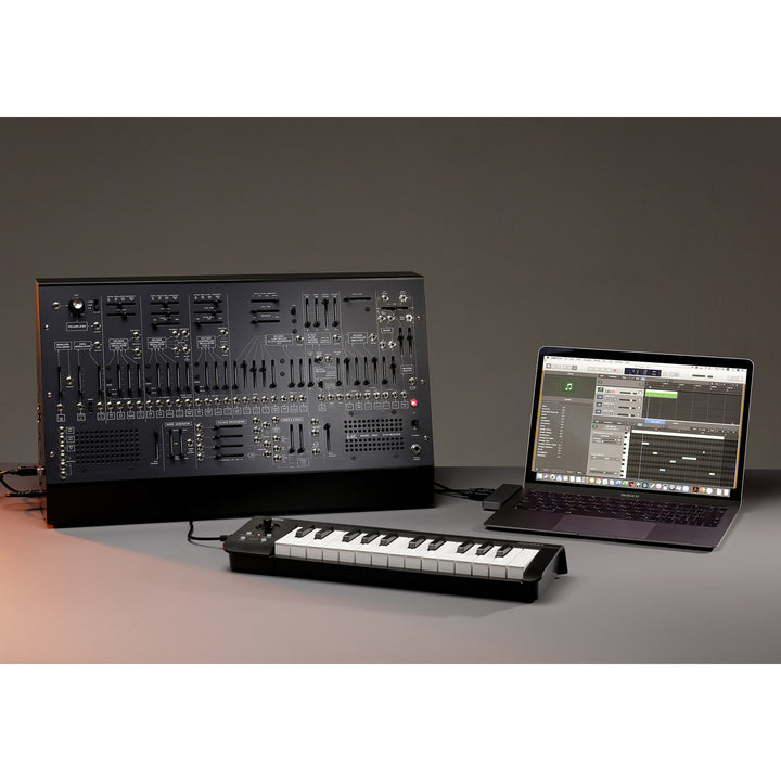 Korg ARP2600M LTD Mini Analog Synthesizer w/ Dedicated Carry Case & Accessories