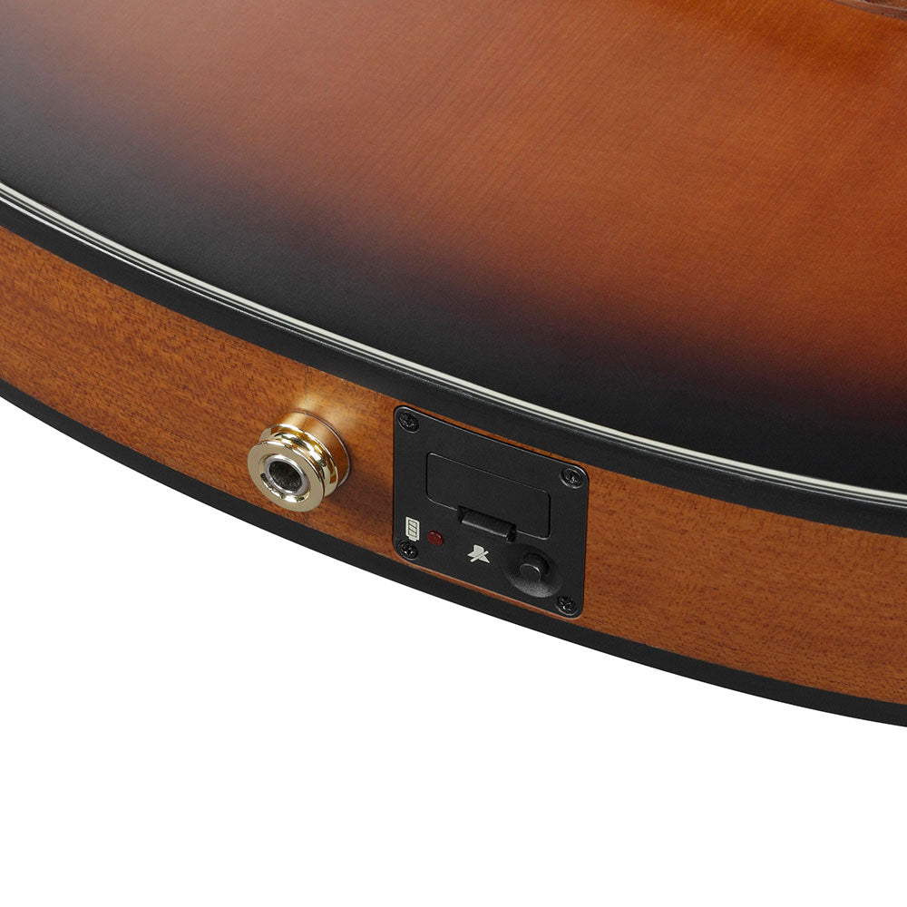 Ibanez Acoustic-Electric (Brown Sunburst Flat) FRH10N