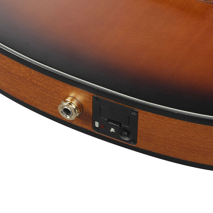 Ibanez Acoustic-Electric (Brown Sunburst Flat) FRH10N