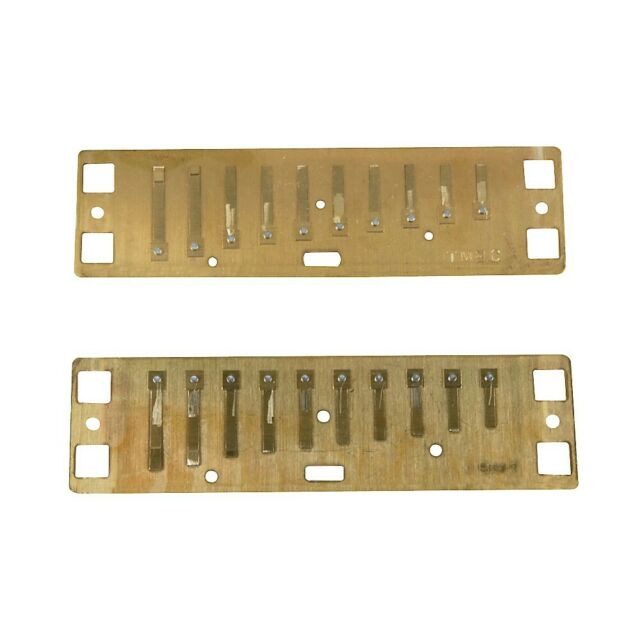 Lee Oskar 1910HRP-MIN-A-FLAT Natural Harmonic Reed Plate Key of Minor A Flat