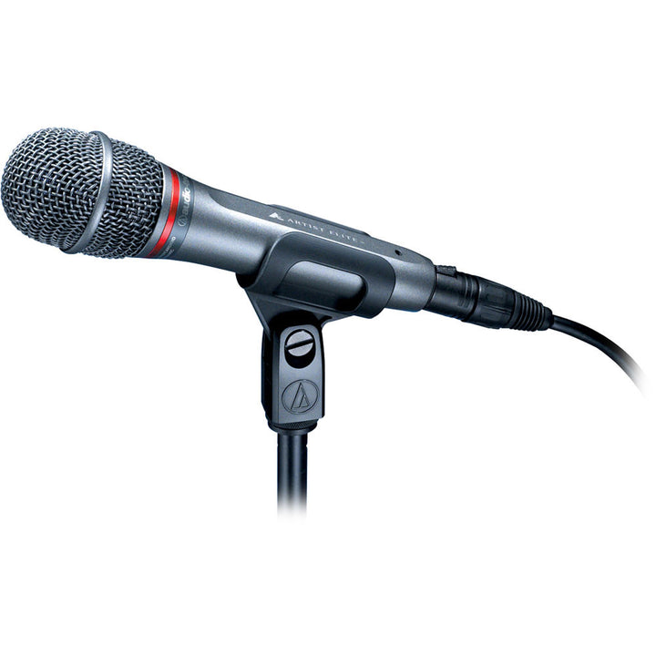 Audio-Technica AE-6100 Hyper-Cardioid Dynamic Handheld Microphone