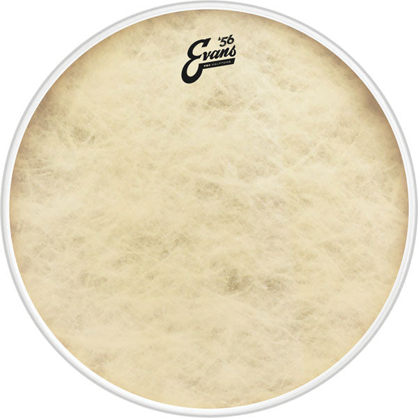Evans BD18GB4CT - 18'' EQ4 CALFTONE