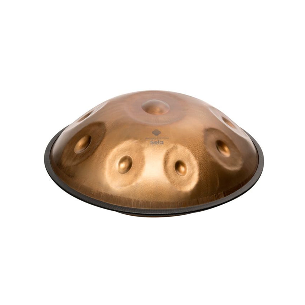 Sela SE213 Harmony Handpan D Sabye (440 Hz; incl. padded bag)