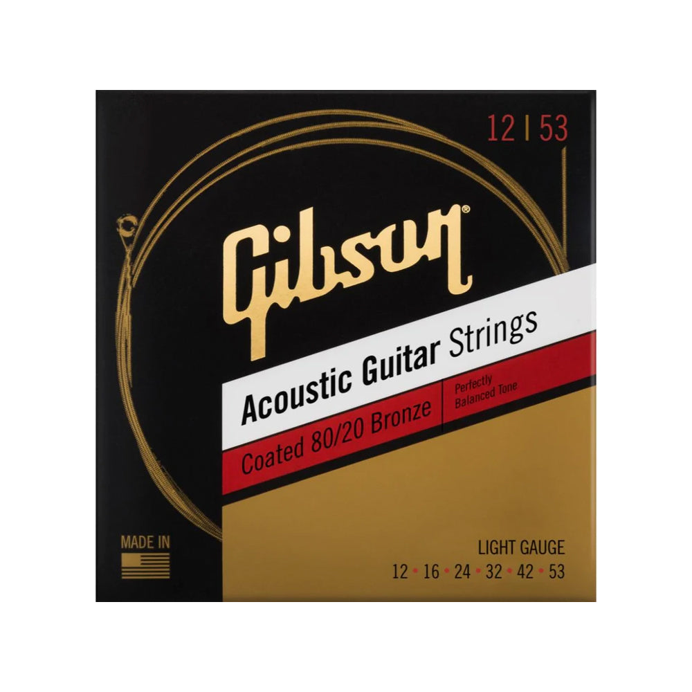GIBSON 80/20 BRONZE STRING-12-53