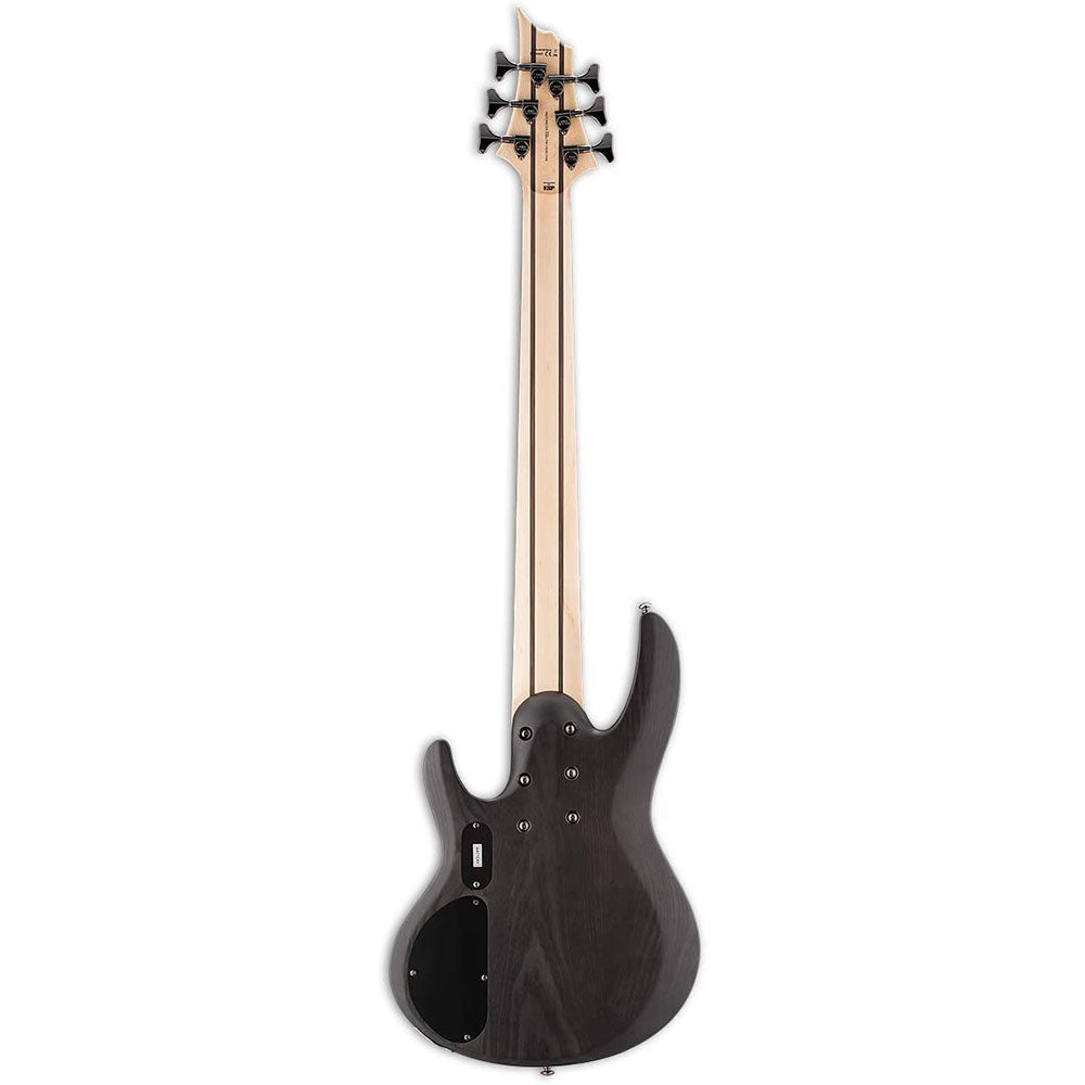 ESP LTD B-206SM 6-String Bass Guitar - See Thru Black Satin