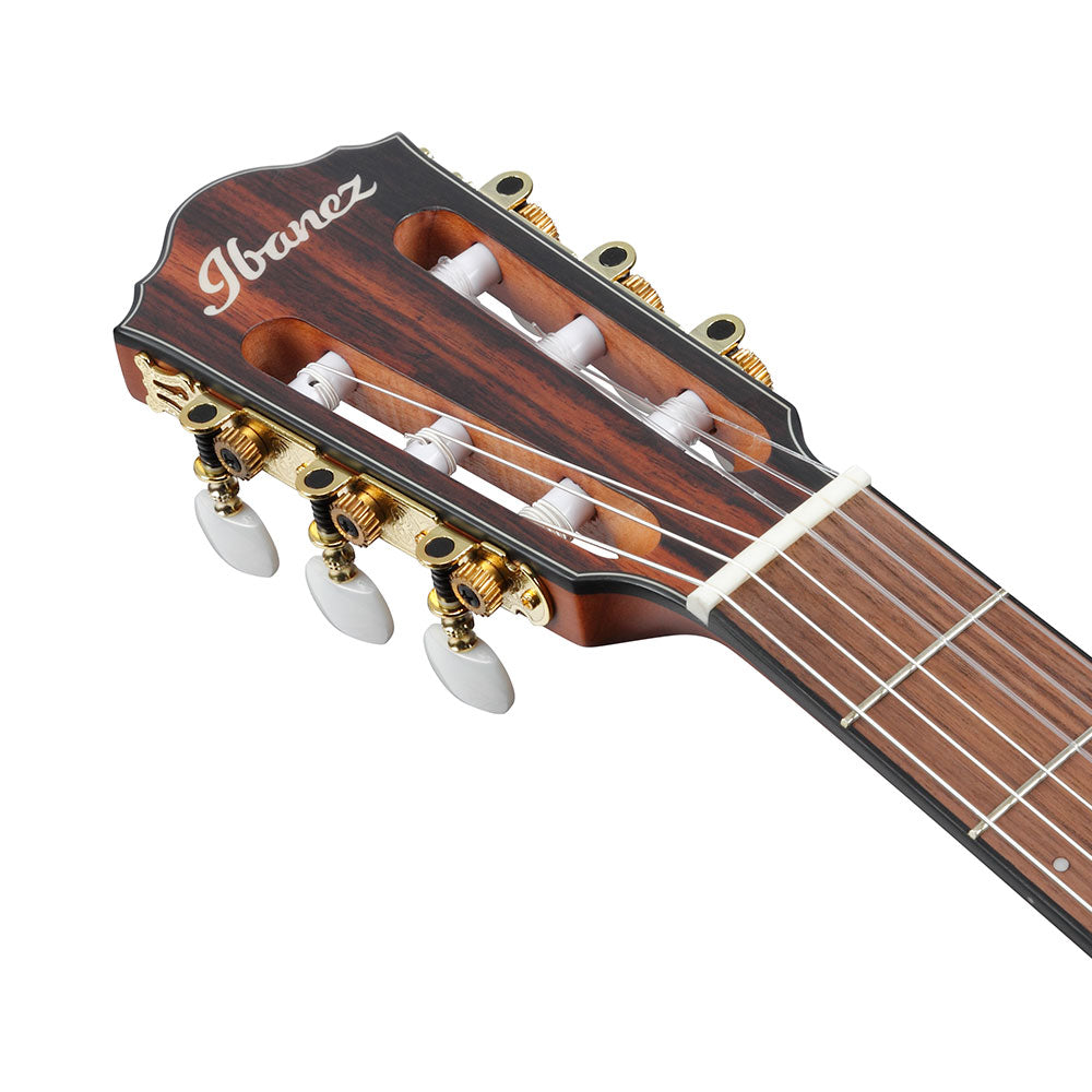 Ibanez Acoustic-Electric (Natural Flat) FRH10N