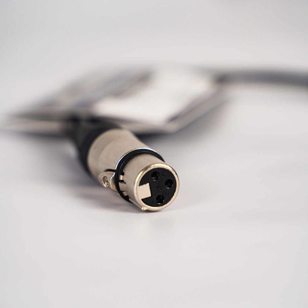 Stage & Studio SS-YXLR-2M1F XLR Female to Dual XLR Male (1 foot)