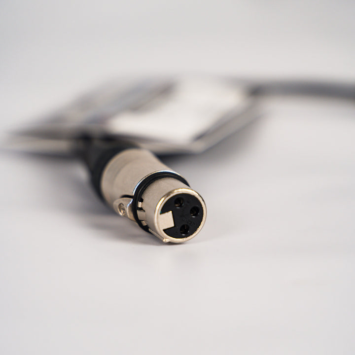 Stage & Studio SS-YXLR-2M1F XLR Female to Dual XLR Male (1 foot)