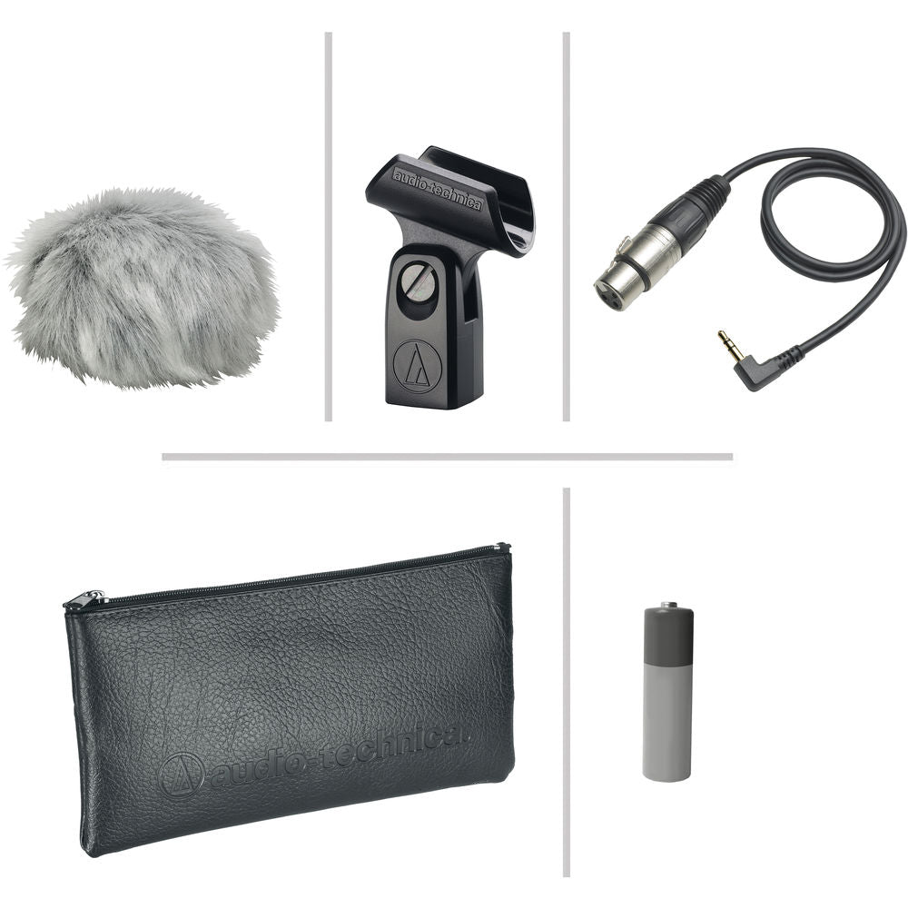 Audio-Technica AT2022 X/Y Stereo Condenser Microphone