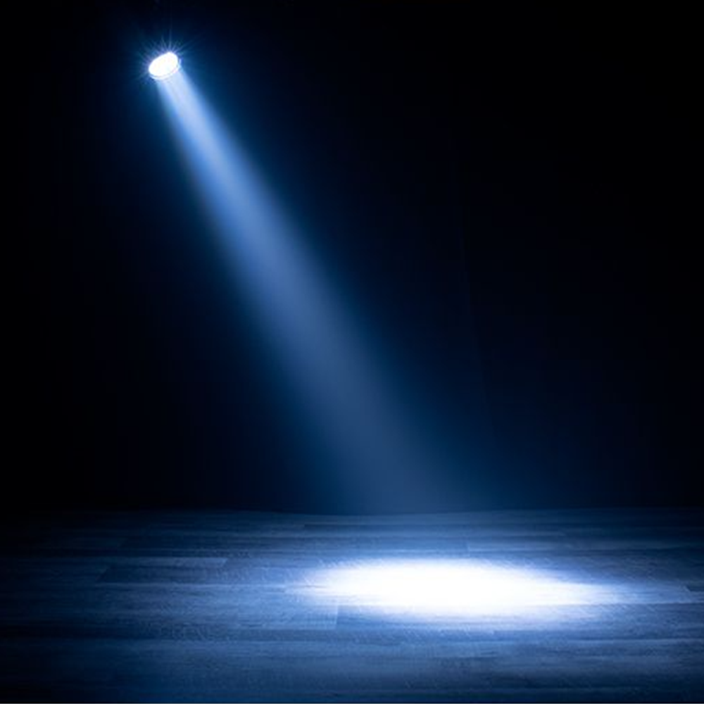 ADJ IP65 LED Par Fixture w/ 7x20W RGBL