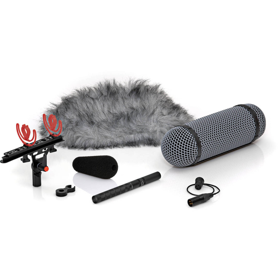 DPA Microphones 4017B Shotgun Microphone with Rycote Windshield