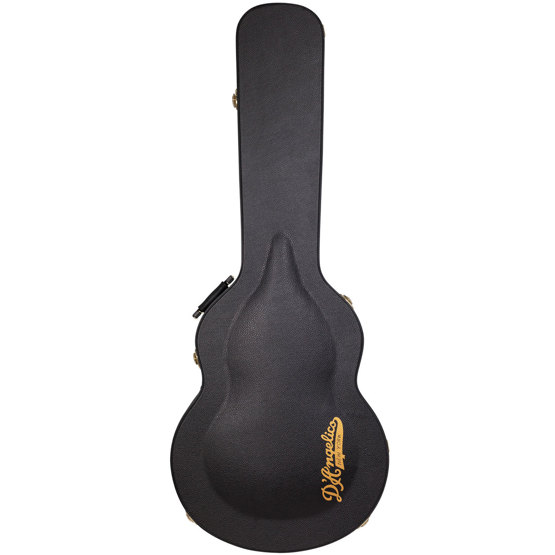 D’Angelico Excel  Electric Guitar