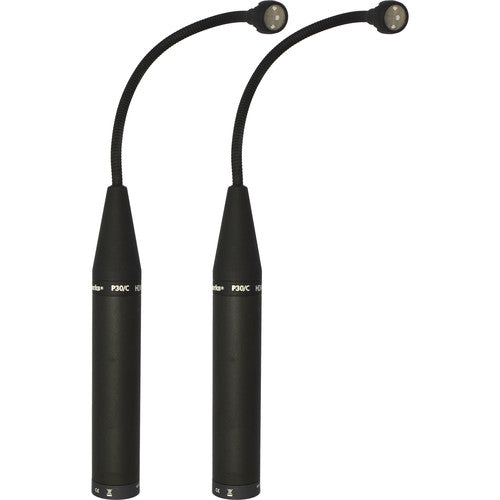 Earthworks P30/Cmp-B - Matched Pair P30 Periscope Cardioid Instrument Microphone (Black)
