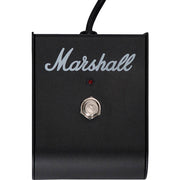 Marshall 1 Way with LED for Acoustic Amplifier Series