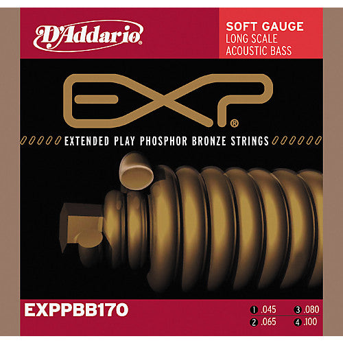 D'Addario EXPPBB170 - SET ACOUS BASS EXP 45-100 LNG