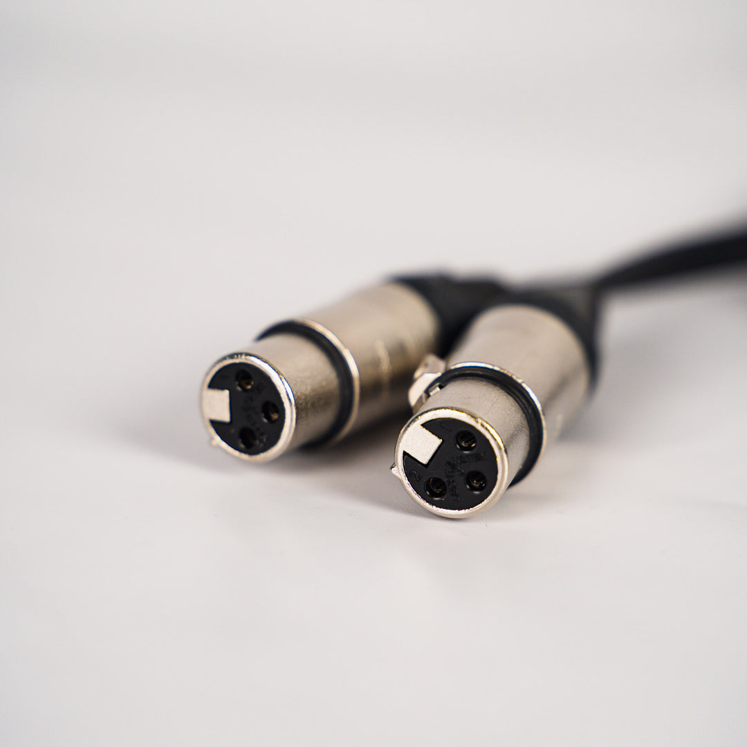 Stage & Studio SS-YXLR-2F1M XLR Male to Dual XLR Female (1 foot)
