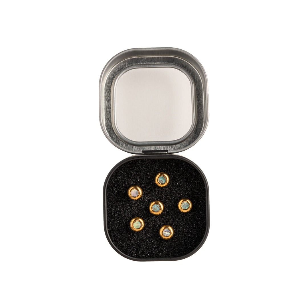 Martin Guitars Pin,Set,Liquid Metal,Gold w/Paua,Tin