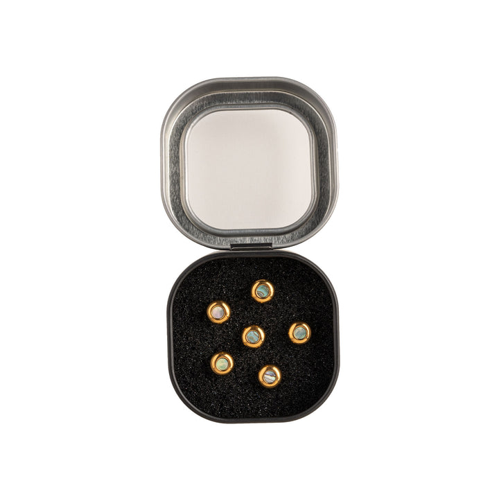 Martin Guitars Pin,Set,Liquid Metal,Gold w/Paua,Tin