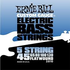 Ernie Ball 2810EB BASS FLATWOUND 5 STRING 45-130