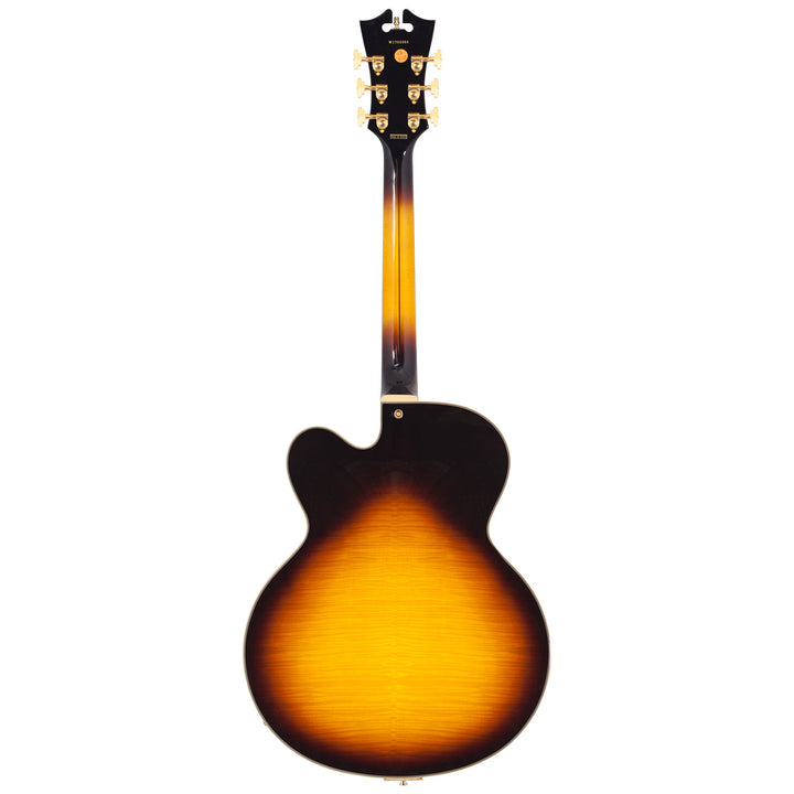 D’Angelico Excel  Electric Guitar