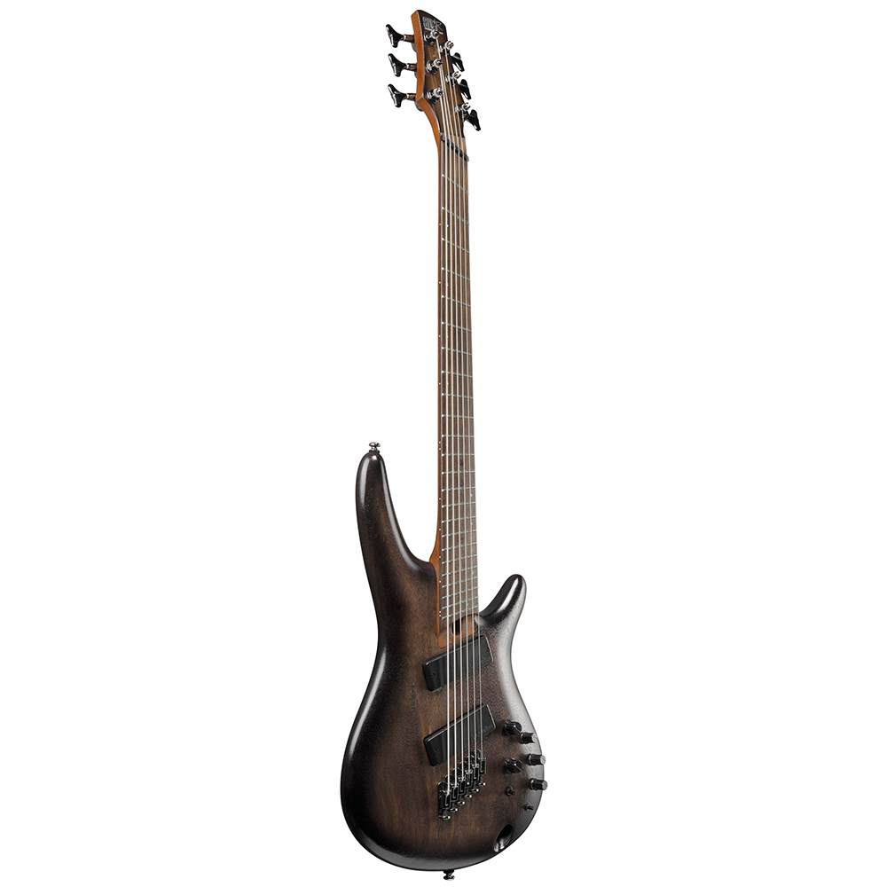 Ibanez SR Bass Workshop 6-String Bass (Black Stained Burst Low Gloss) SRC6MSBLL