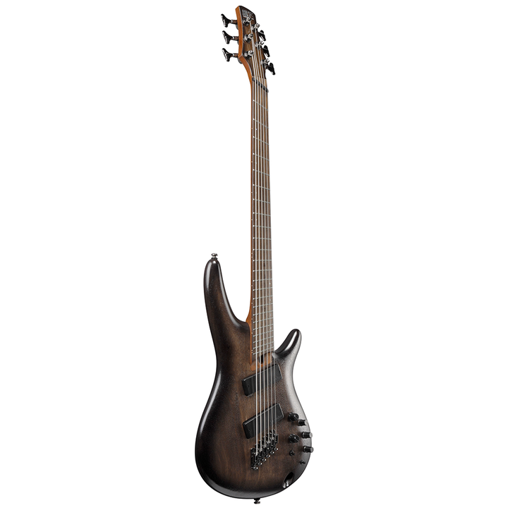 Ibanez SR Bass Workshop 6-String Bass (Black Stained Burst Low Gloss) SRC6MSBLL