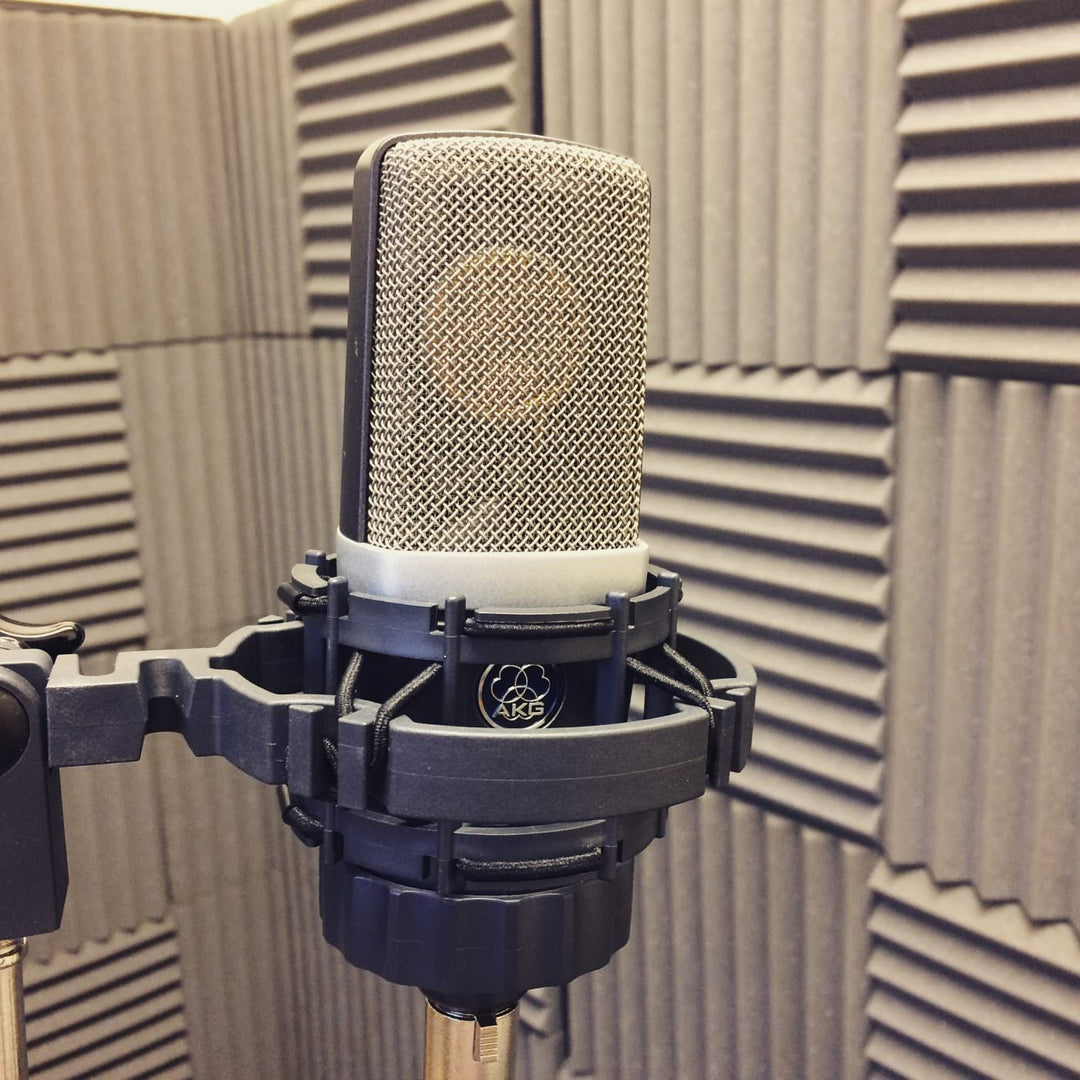 AKG C214 Studio Condenser Mic