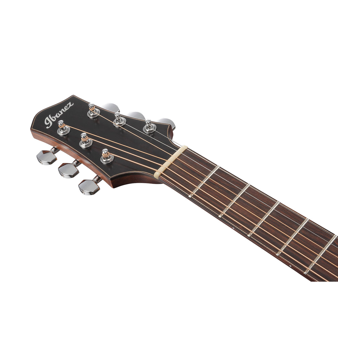 Ibanez Acoustic-Electric (Natural Satin Top, Natural Low Gloss)  PA300E