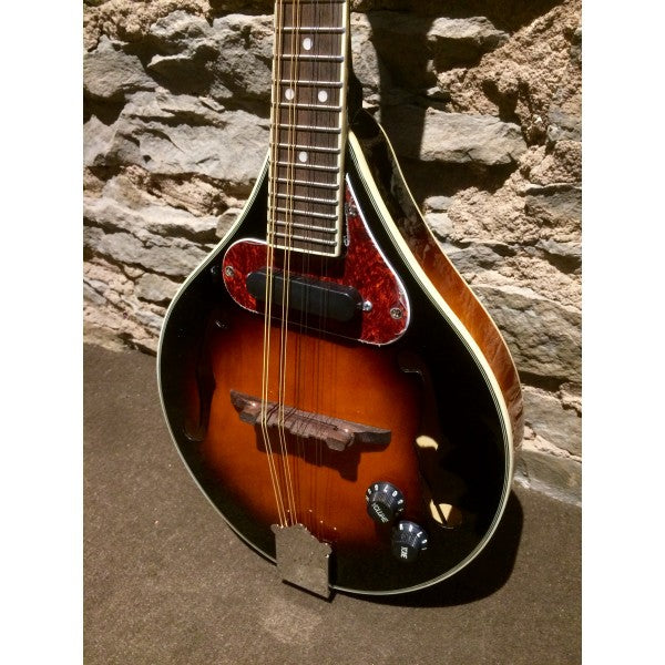 Beaver Creek BCMM201E - Mandolin Electric