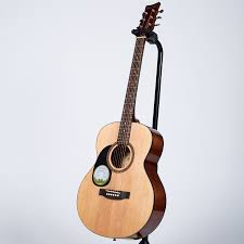 Beaver Creek BCTF101L - Folk Acoustic Guitar (Left-Hand)