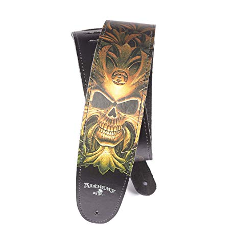 D'Addario 25LAL04 - 2.5 ALCHEMY LTH- GREEN SKULL