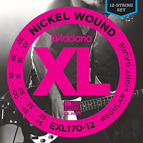 D'Addario EXL170-12 - SET BASS XL 45-100 LONG 12STR