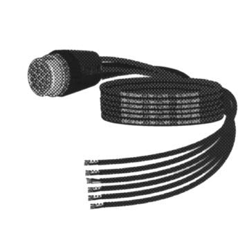 Digiflex LX LSS-BS-1203-6 - 6 Foot Socapex Female to Bare Wire - 12 AWG
