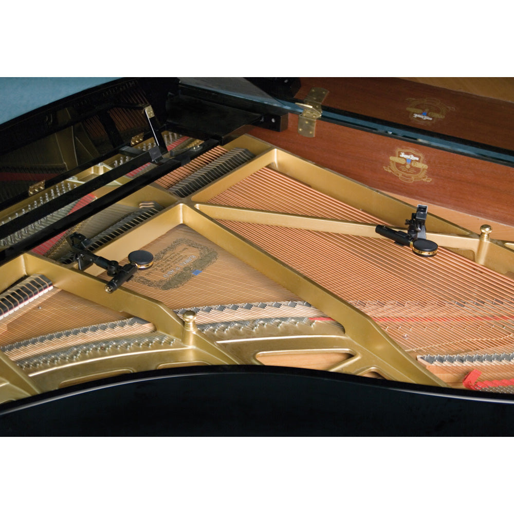 Audix SCX25A Studio Condenser Microphone (Piano System)