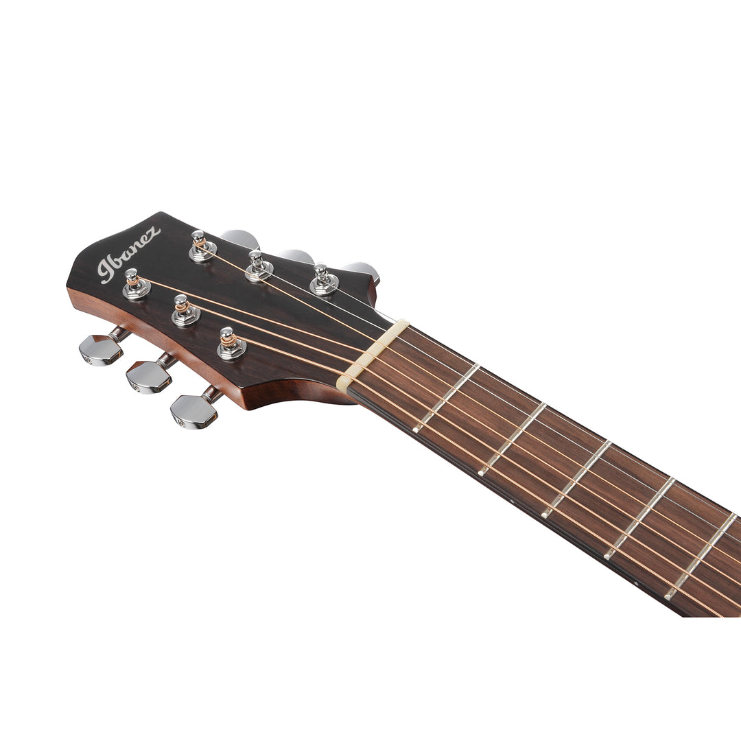 Ibanez Acoustic-Electric (Natural Satin Low Gloss) PA230E