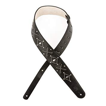 D'Addario L25S1502 - >2.5 GTR STP, GTR STRNG ART-BLK