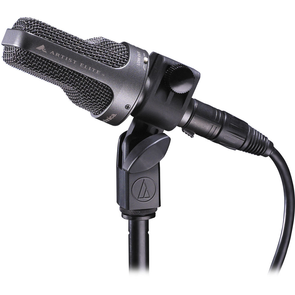 Audio-Technica AE3000 Large-Diaphragm Side-Address Cardioid Condenser Instrument Microphone